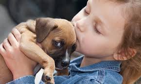 Staffordshire Bull Terrier mit Kindern