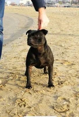 Faiter Divine at Diabhal Staff