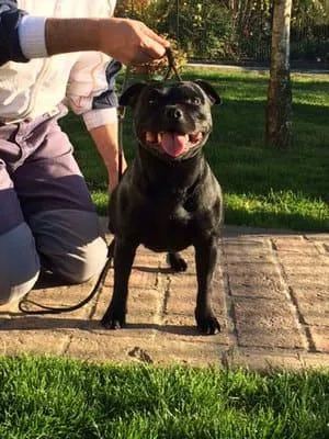 Jackie Kennedy Great'n Glory