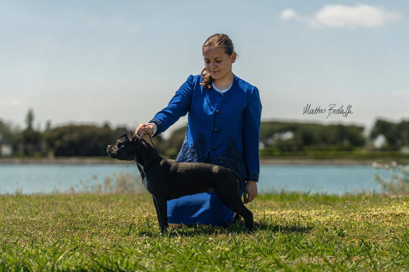 Queen of California Aka Desy - Giovane Campionessa Italiana Staffordshire Bull Terrier